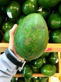 A giant avocand - $3