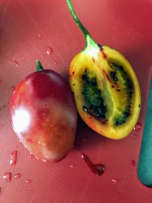 Tamarillo - very sour, but a texture of a tomato it was weird.