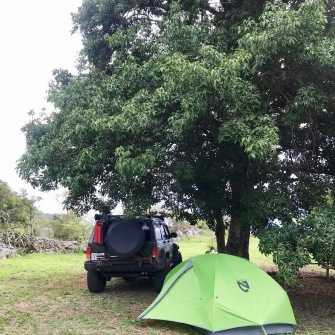 Our campsite under the tree